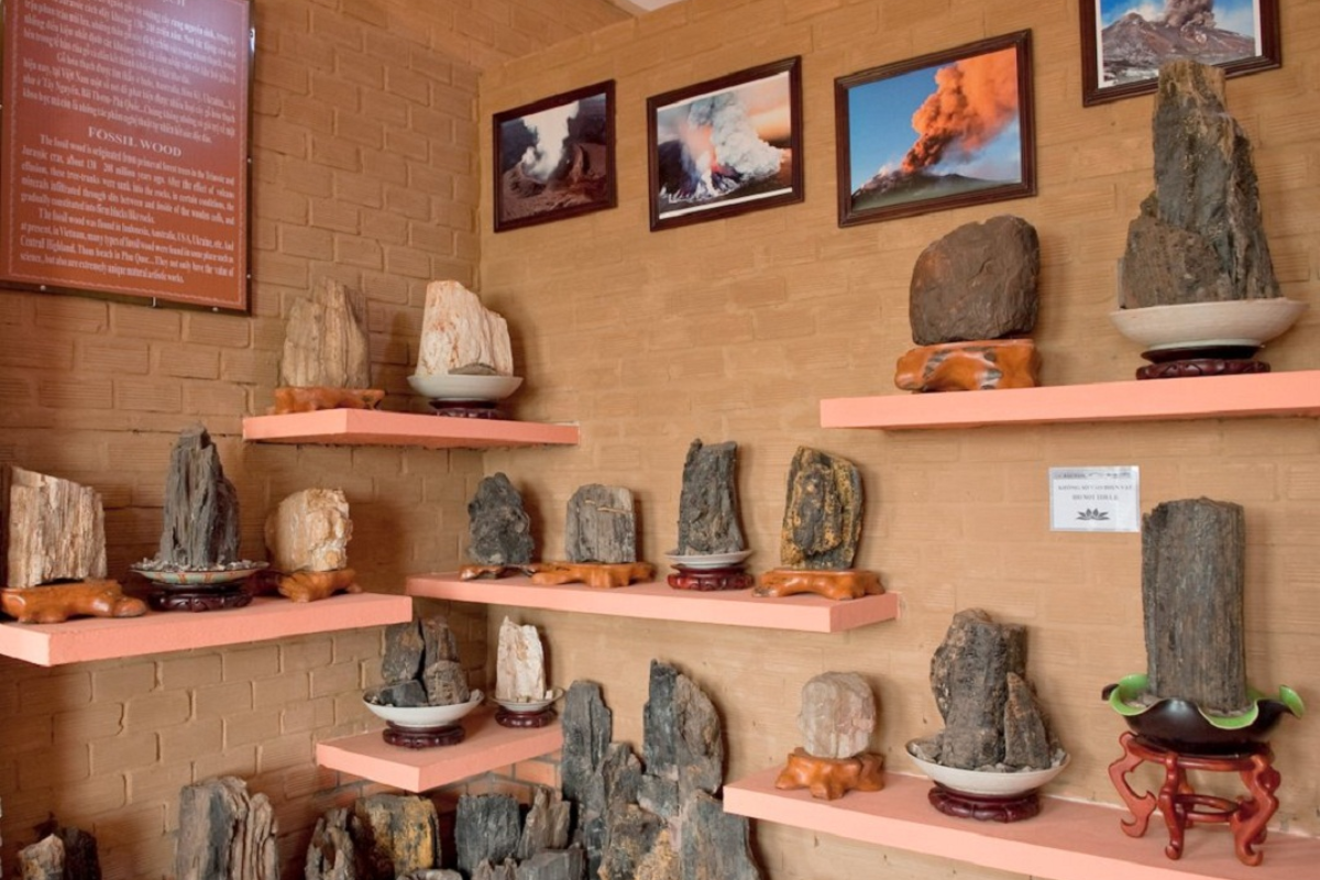 Collection of ancient artifacts in Coi Nguon Museum